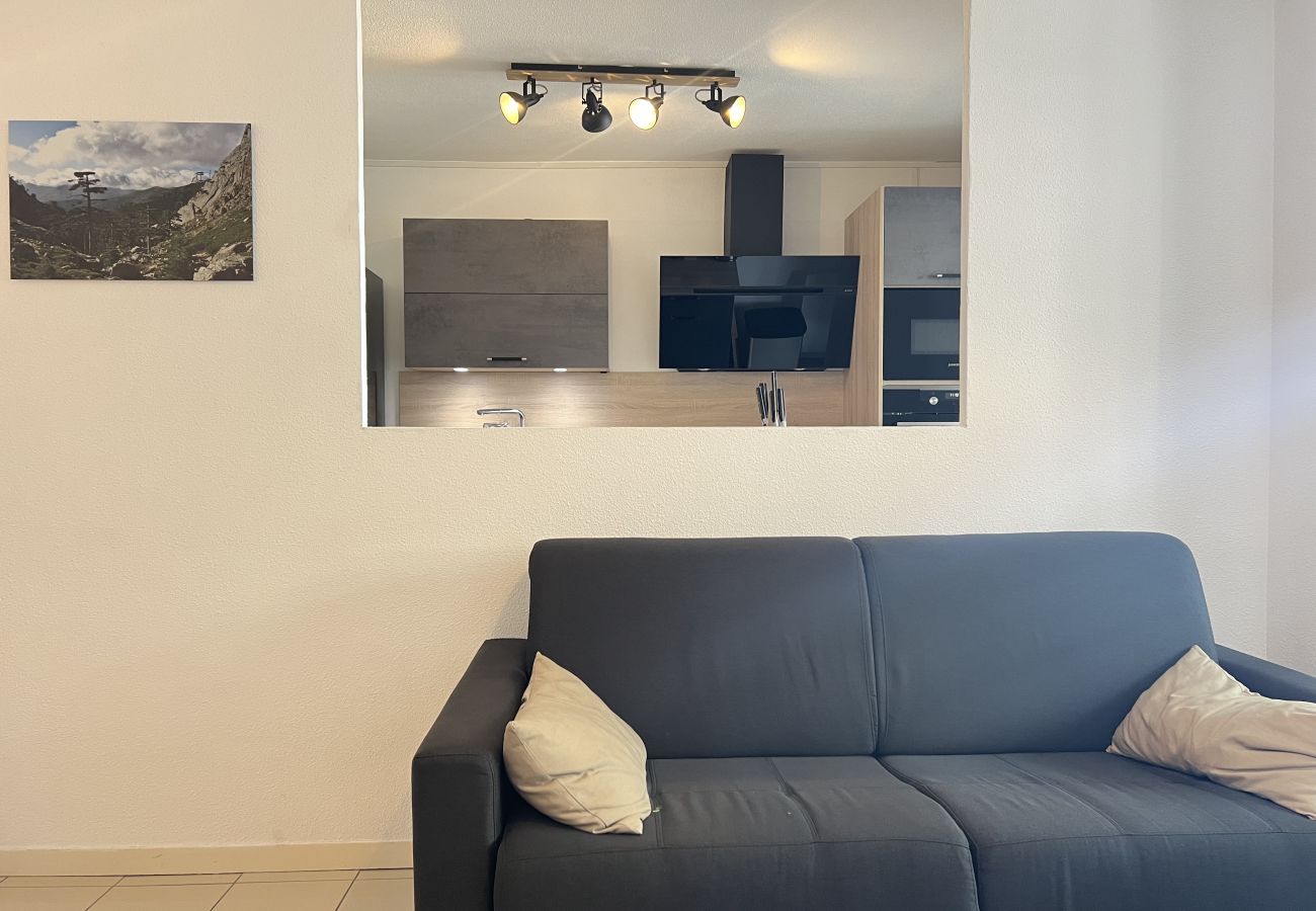 Apartment in Toulouse - The companion -2p- Toulouse Center, Parking & Metro